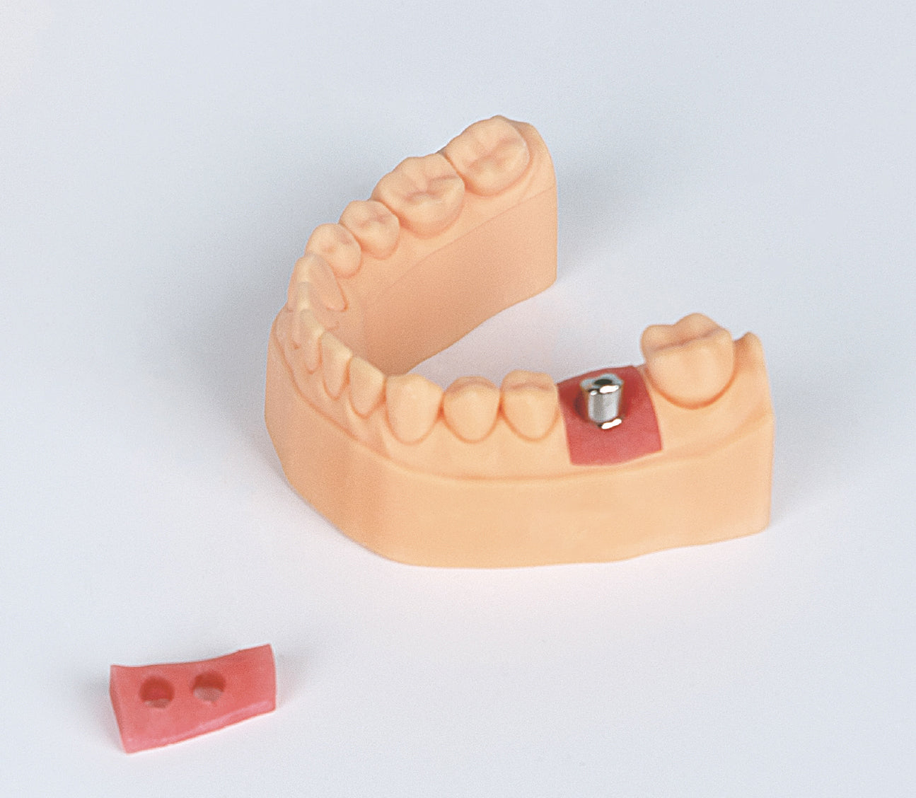 3D Printer GINGIVA Mask Resin（500g）