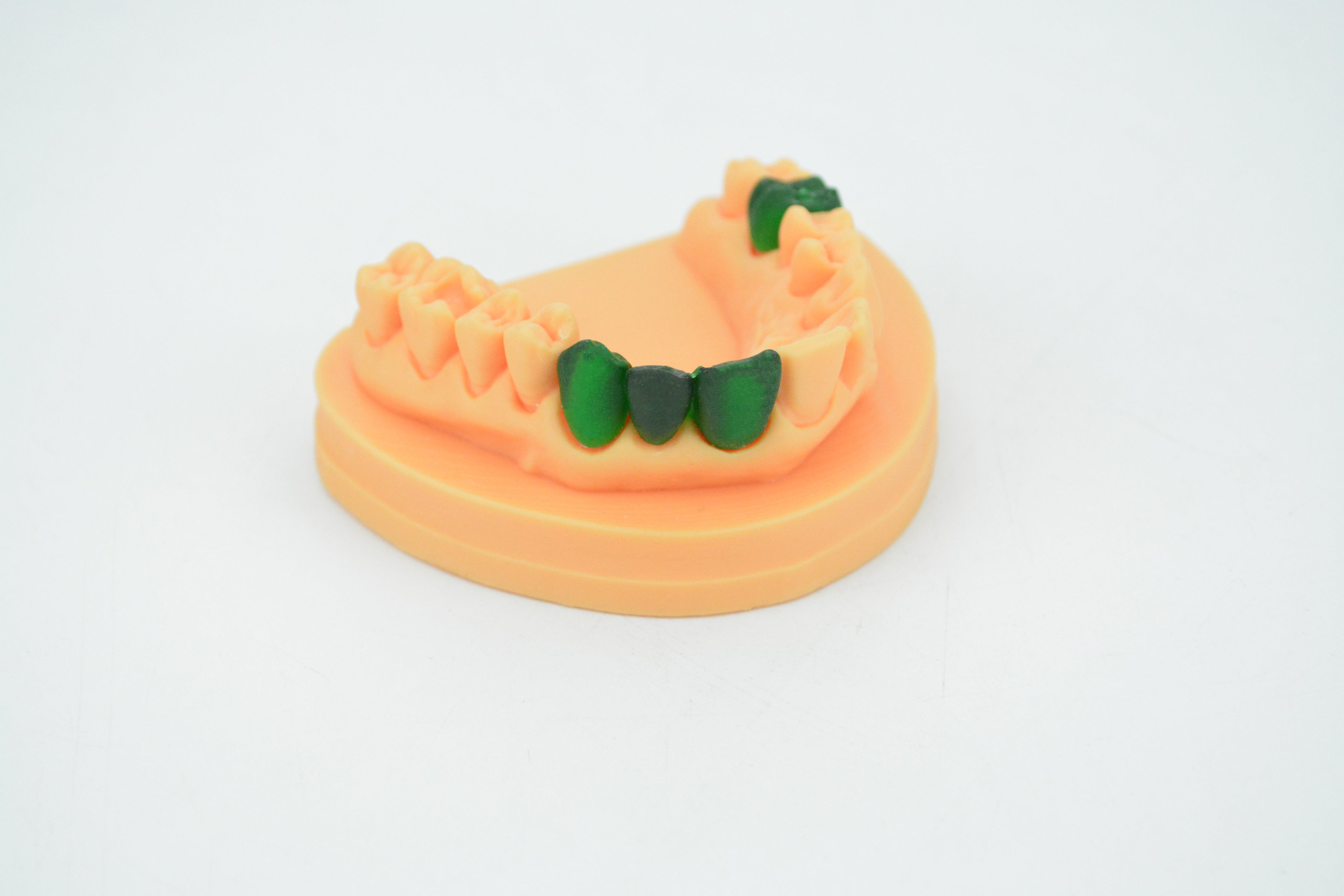 3D Printer CASTABLE Resin（500g）