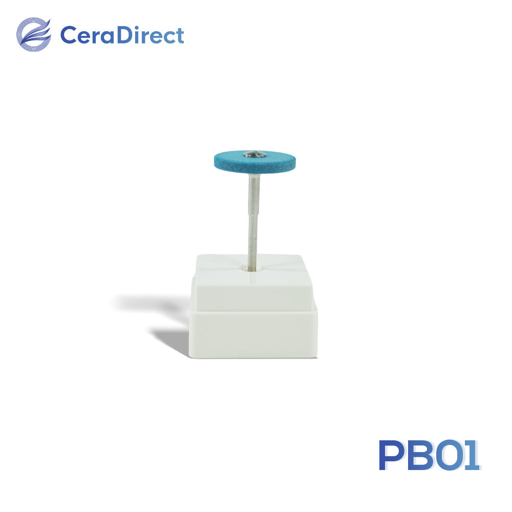 Polishing Tool