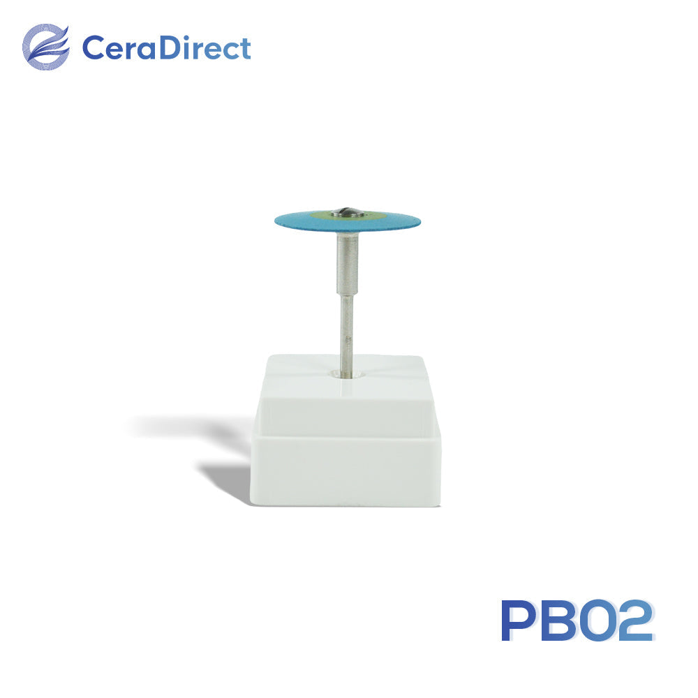 Polishing Tool