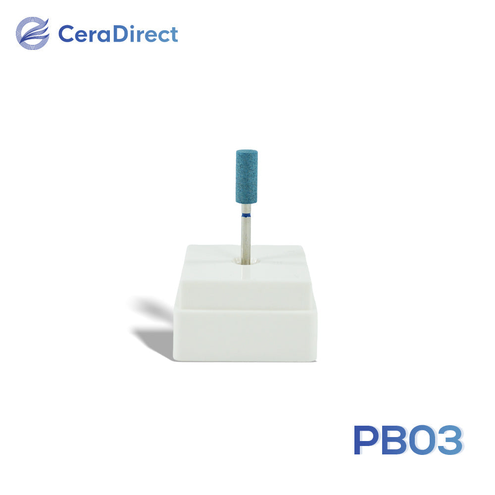 Polishing Tool
