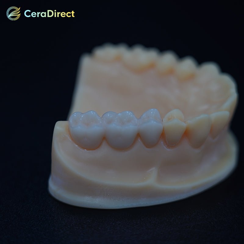SHT— White Zirconia Disc AG System (71mm) - CeraDirect